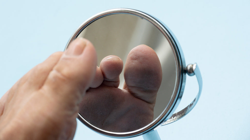 Inspection Mirror